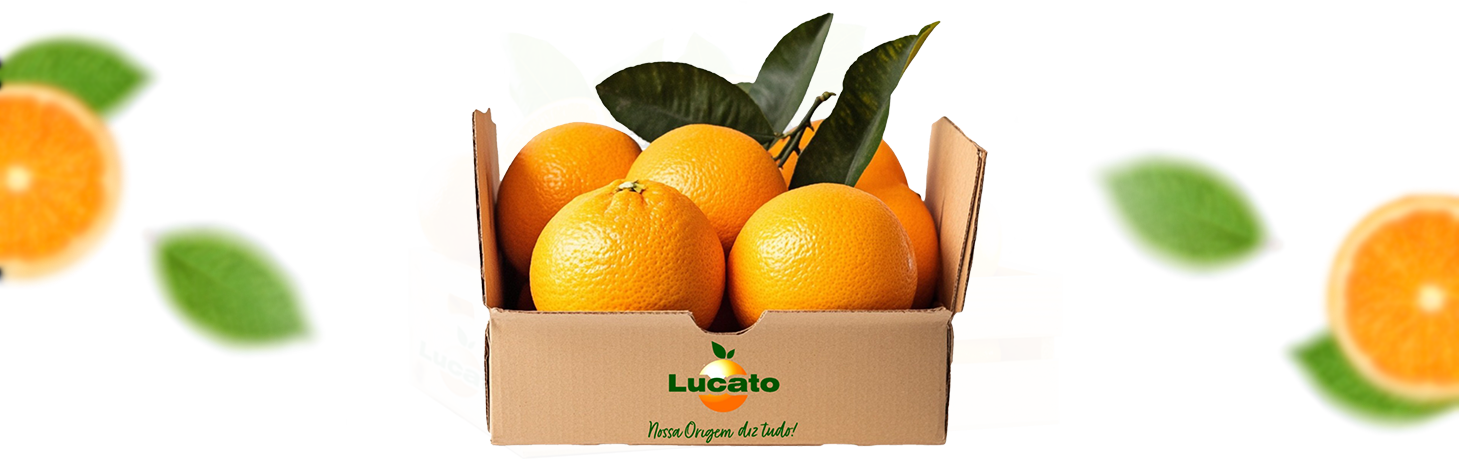 Lucato